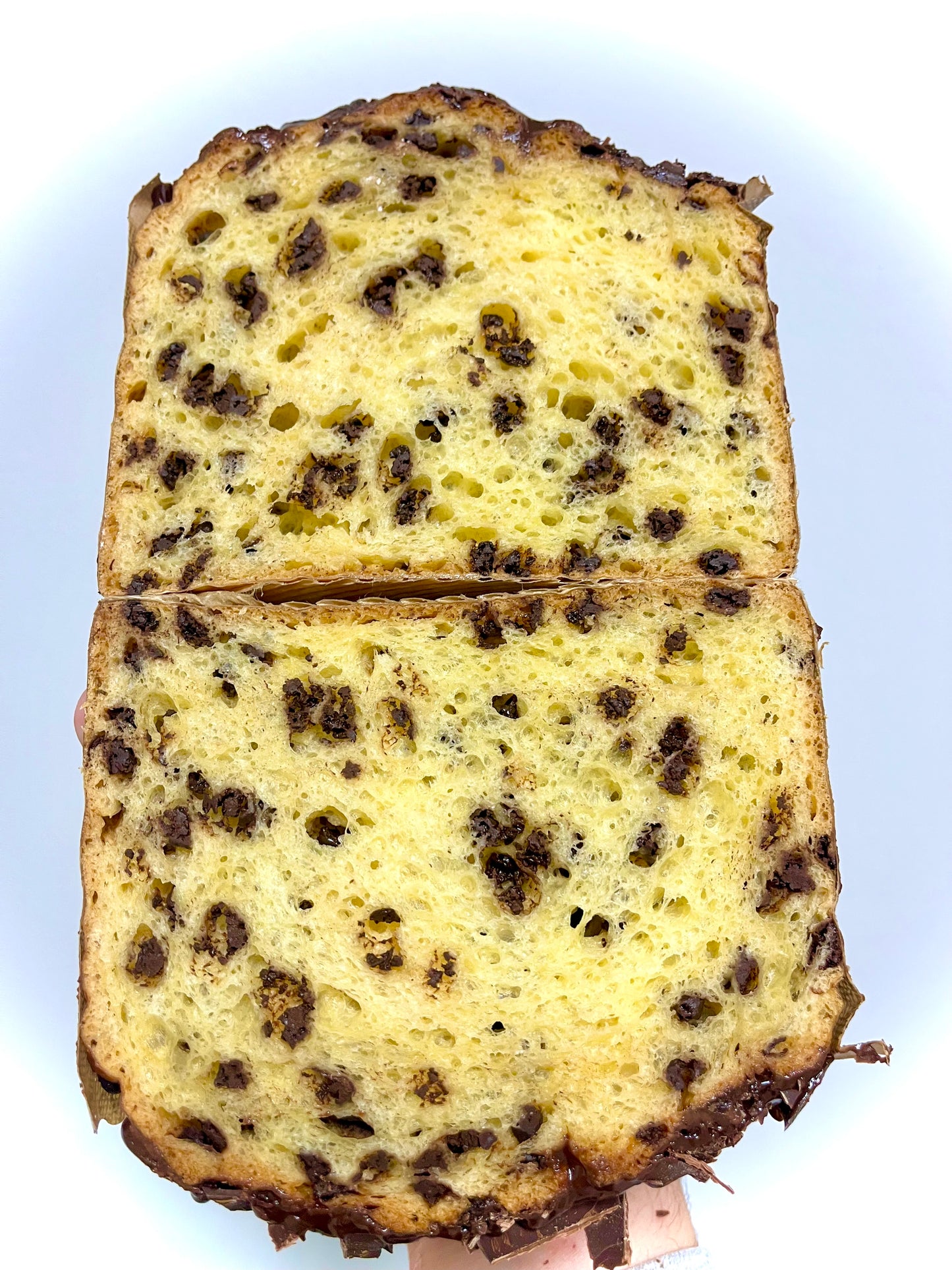 PANETTONE CIOCCOLATO senza glutine e senza lattosio